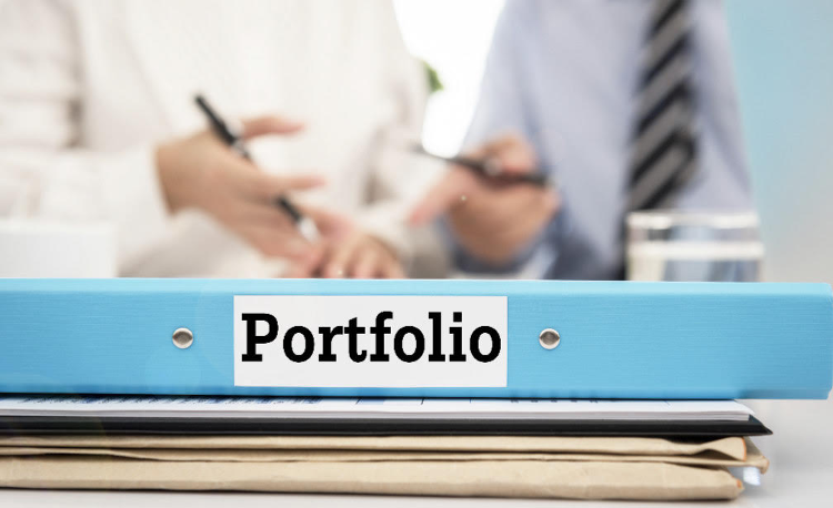 Portfolio nədir 