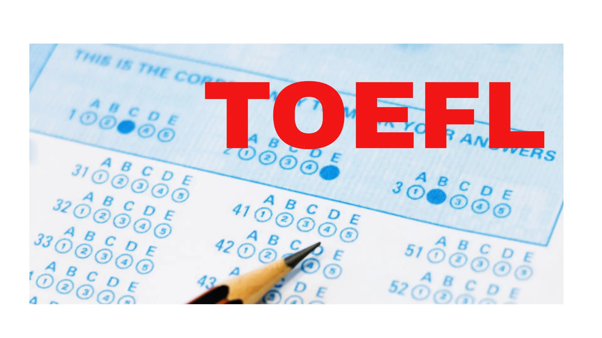 toefl kurslari
